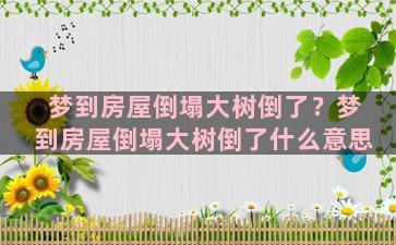 梦到房屋倒塌大树倒了？梦到房屋倒塌大树倒了什么意思