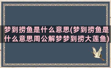 梦到捞鱼是什么意思(梦到捞鱼是什么意思周公解梦梦到捞大莲鱼)