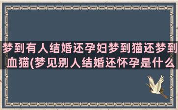 梦到有人结婚还孕妇梦到猫还梦到血猫(梦见别人结婚还怀孕是什么意思)