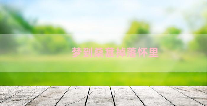 梦到桑葚掉落怀里