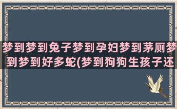 梦到梦到兔子梦到孕妇梦到茅厕梦到梦到好多蛇(梦到狗狗生孩子还梦到一只兔子)