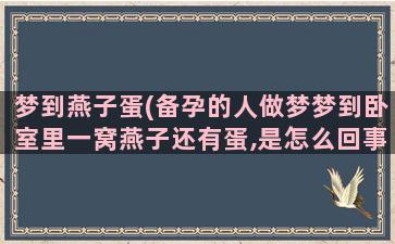 梦到燕子蛋(备孕的人做梦梦到卧室里一窝燕子还有蛋,是怎么回事)