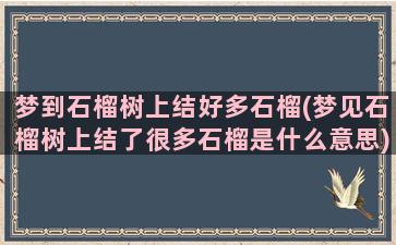 梦到石榴树上结好多石榴(梦见石榴树上结了很多石榴是什么意思)