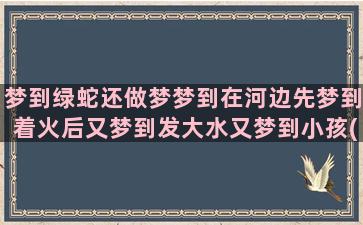 梦到绿蛇还做梦梦到在河边先梦到着火后又梦到发大水又梦到小孩(梦到绿蛇很害怕但是没有伤害我)