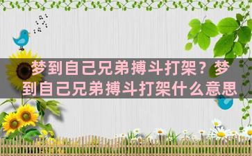 梦到自己兄弟搏斗打架？梦到自己兄弟搏斗打架什么意思