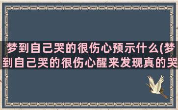 梦到自己哭的很伤心预示什么(梦到自己哭的很伤心醒来发现真的哭了)