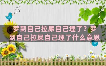 梦到自己拉屎自己埋了？梦到自己拉屎自己埋了什么意思