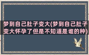 梦到自己肚子变大(梦到自己肚子变大怀孕了但是不知道是谁的种)