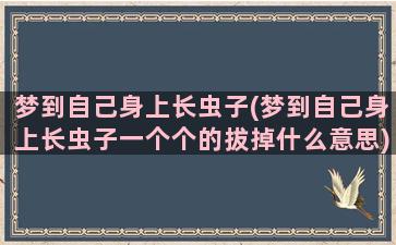 梦到自己身上长虫子(梦到自己身上长虫子一个个的拔掉什么意思)