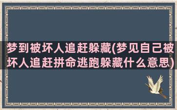 梦到被坏人追赶躲藏(梦见自己被坏人追赶拼命逃跑躲藏什么意思)