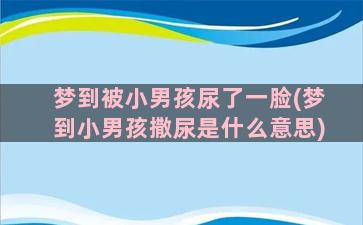 梦到被小男孩尿了一脸(梦到小男孩撒尿是什么意思)