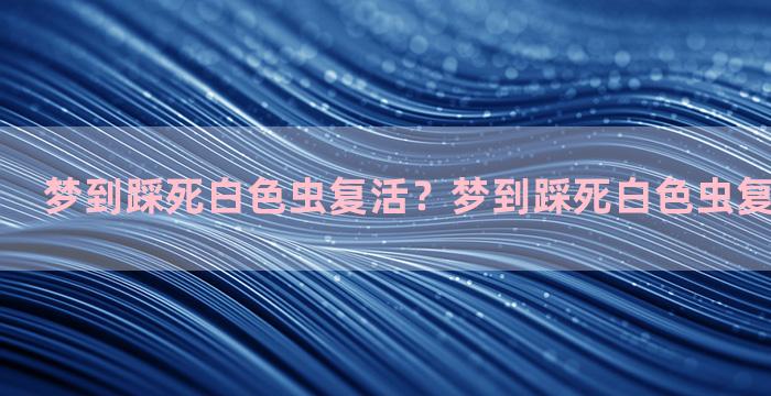 梦到踩死白色虫复活？梦到踩死白色虫复活什么意思