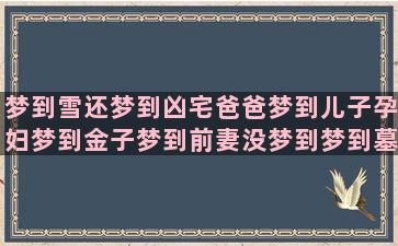 梦到雪还梦到凶宅爸爸梦到儿子孕妇梦到金子梦到前妻没梦到梦到墓地再梦到小孩(梦见房屋有雪)