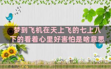 梦到飞机在天上飞的七上八下的看着心里好害怕是啥意思