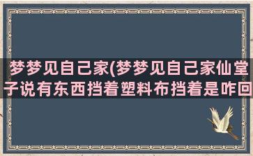 梦梦见自己家(梦梦见自己家仙堂子说有东西挡着塑料布挡着是咋回事)