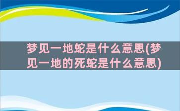 梦见一地蛇是什么意思(梦见一地的死蛇是什么意思)