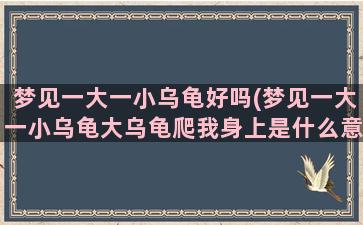 梦见一大一小乌龟好吗(梦见一大一小乌龟大乌龟爬我身上是什么意思)