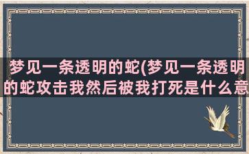 梦见一条透明的蛇(梦见一条透明的蛇攻击我然后被我打死是什么意思)