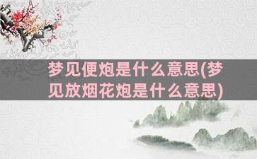 梦见便炮是什么意思(梦见放烟花炮是什么意思)