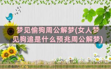 梦见偷狗周公解梦(女人梦见狗追是什么预兆周公解梦)