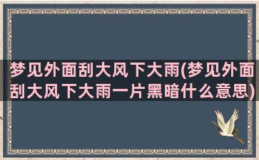 梦见外面刮大风下大雨(梦见外面刮大风下大雨一片黑暗什么意思)