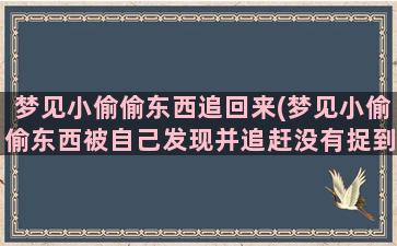 梦见小偷偷东西追回来(梦见小偷偷东西被自己发现并追赶没有捉到)