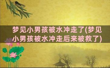 梦见小男孩被水冲走了(梦见小男孩被水冲走后来被救了)