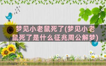 梦见小老鼠死了(梦见小老鼠死了是什么征兆周公解梦)