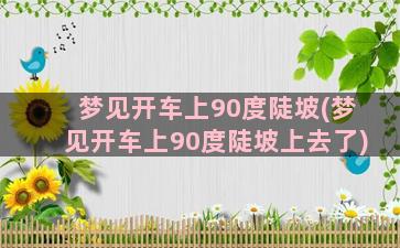 梦见开车上90度陡坡(梦见开车上90度陡坡上去了)