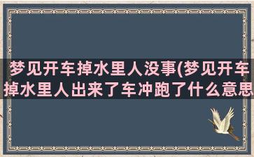 梦见开车掉水里人没事(梦见开车掉水里人出来了车冲跑了什么意思)