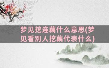 梦见挖连藕什么意思(梦见看别人挖藕代表什么)