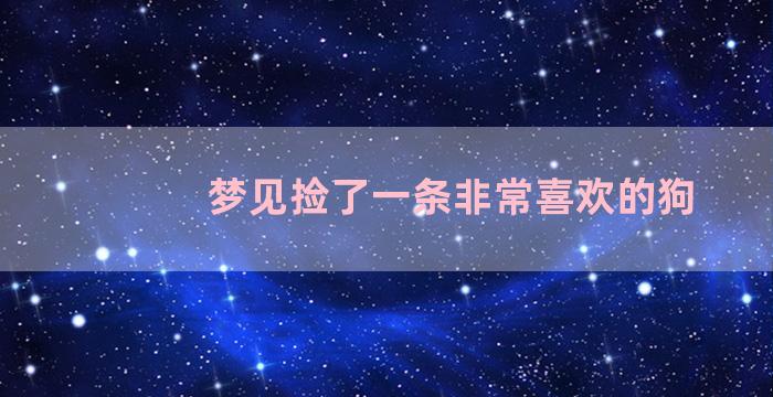 梦见捡了一条非常喜欢的狗