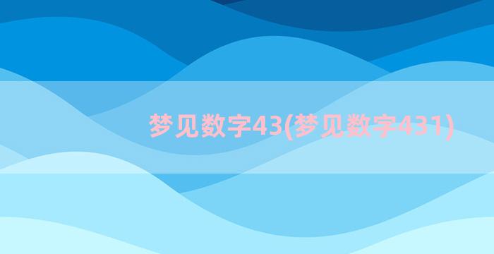 梦见数字43(梦见数字431)