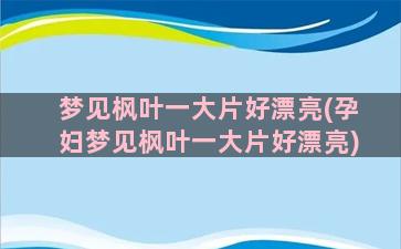 梦见枫叶一大片好漂亮(孕妇梦见枫叶一大片好漂亮)