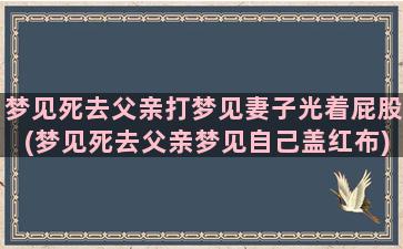 梦见死去父亲打梦见妻子光着屁股(梦见死去父亲梦见自己盖红布)