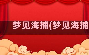 梦见海捕(梦见海捕鱼)