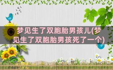 梦见生了双胞胎男孩儿(梦见生了双胞胎男孩死了一个)