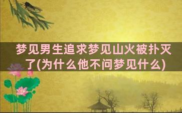 梦见男生追求梦见山火被扑灭了(为什么他不问梦见什么)