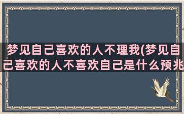 梦见自己喜欢的人不理我(梦见自己喜欢的人不喜欢自己是什么预兆)