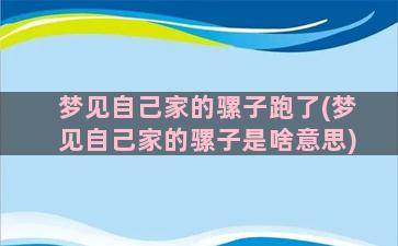 梦见自己家的骡子跑了(梦见自己家的骡子是啥意思)