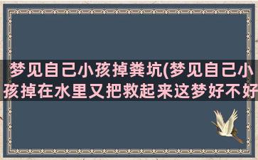 梦见自己小孩掉粪坑(梦见自己小孩掉在水里又把救起来这梦好不好)