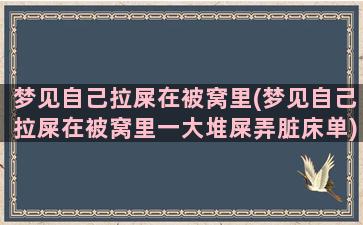 梦见自己拉屎在被窝里(梦见自己拉屎在被窝里一大堆屎弄脏床单)