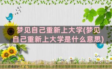 梦见自己重新上大学(梦见自己重新上大学是什么意思)