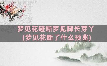 梦见花碰断梦见脚长芽丫(梦见花断了什么预兆)