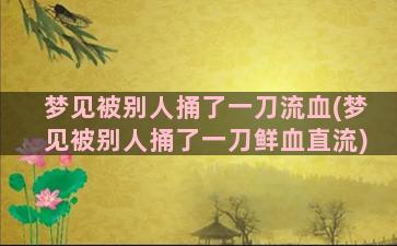 梦见被别人捅了一刀流血(梦见被别人捅了一刀鲜血直流)