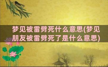 梦见被雷劈死什么意思(梦见朋友被雷劈死了是什么意思)