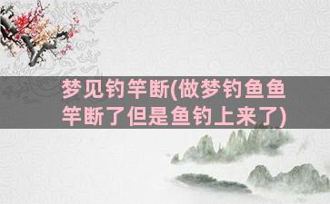 梦见钓竿断(做梦钓鱼鱼竿断了但是鱼钓上来了)