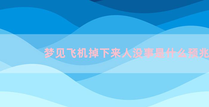 梦见飞机掉下来人没事是什么预兆