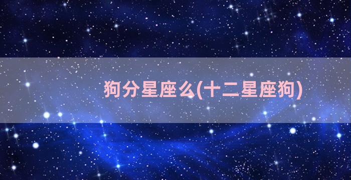 狗分星座么(十二星座狗)