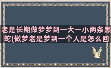 老是长期做梦梦到一大一小两条黑蛇(做梦老是梦到一个人是怎么回事)